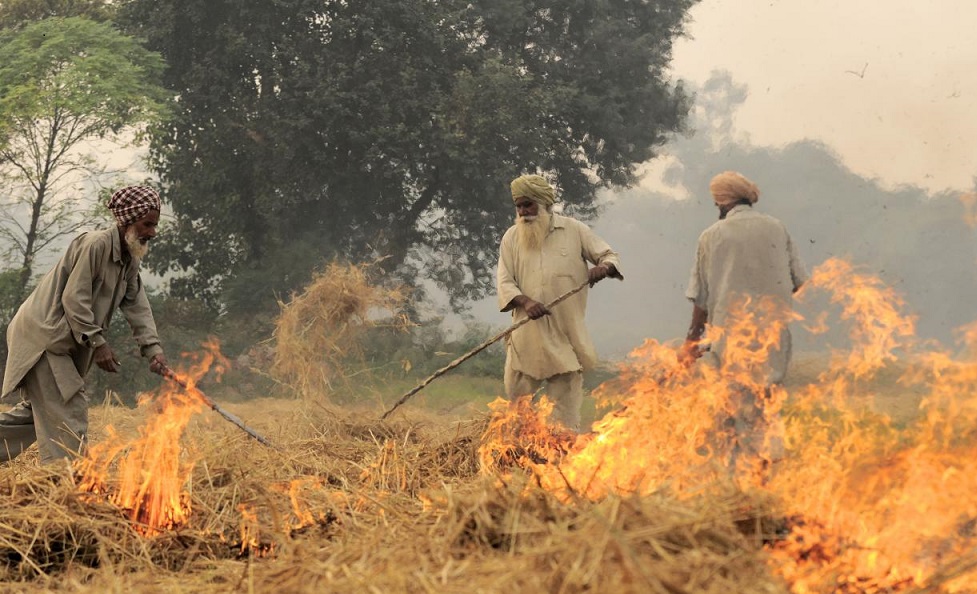 By CIAT - NP India burning 48Uploaded by mrjohncummings, CC BY-SA 2.0, https://commons.wikimedia.org/w/index.php?curid=30330151