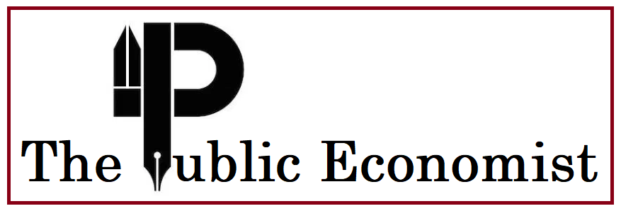 The Public Economist Cover